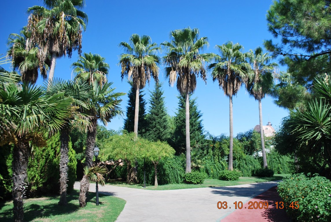 imagini hotel WOW TOPKAPI PALACE